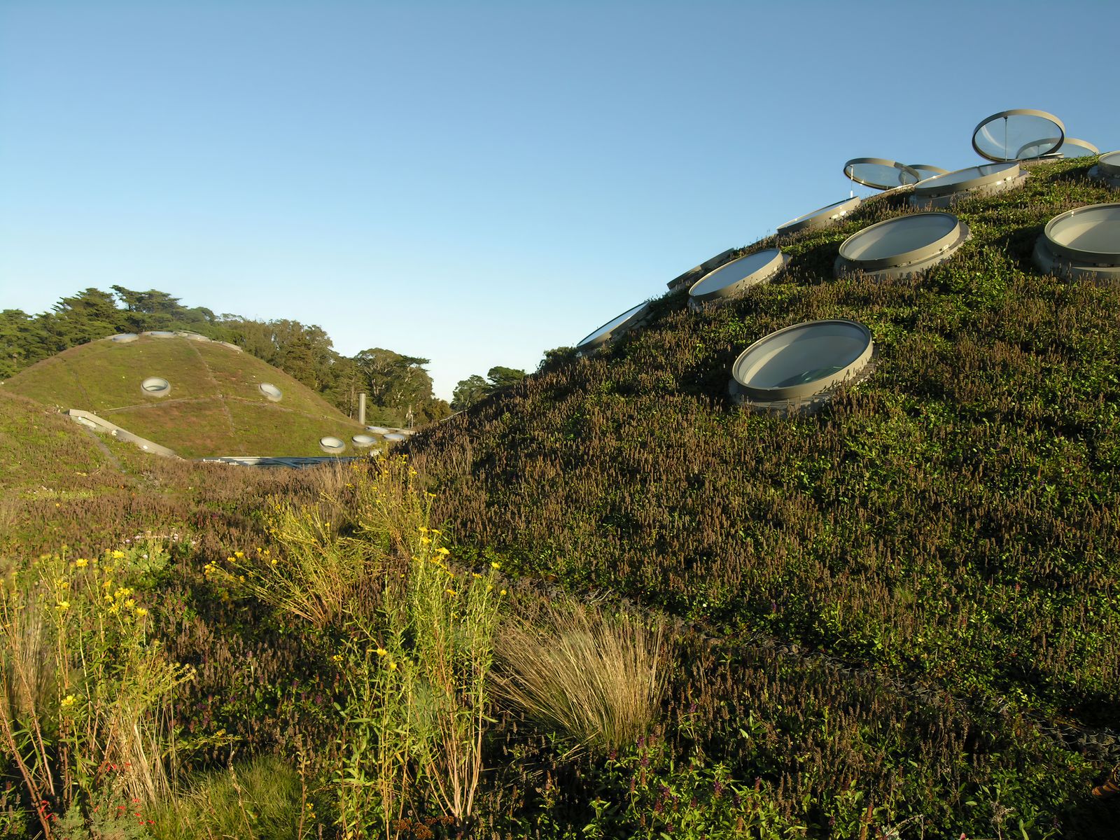 Das Begrünung geht auf Rana Creek Living Architecture zurück.