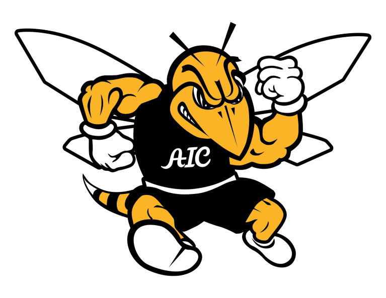 American International College